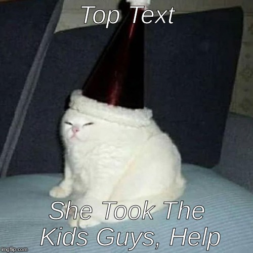 Caren, they're my kids too | Top Text; She Took The Kids Guys, Help | image tagged in memes,not funny,yeet,kick,me | made w/ Imgflip meme maker