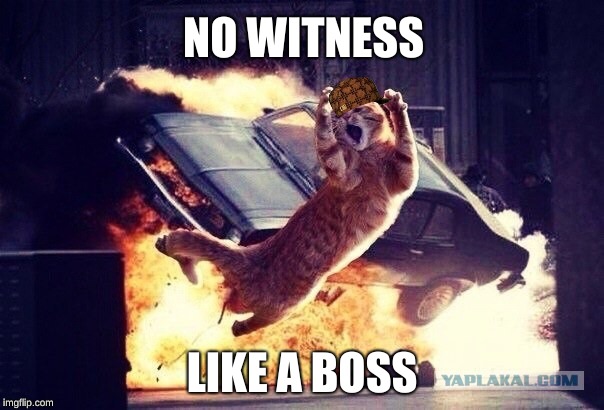 NO WITNESS; LIKE A BOSS | image tagged in scumbag | made w/ Imgflip meme maker