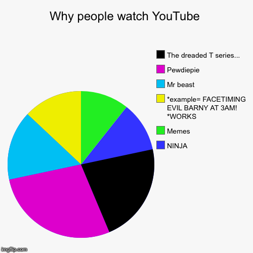 Why people watch YouTube | NINJA, Memes, *example= FACETIMING EVIL BARNY AT 3AM! *WORKS, Mr beast, Pewdiepie , The dreaded T series... | image tagged in funny,pie charts | made w/ Imgflip chart maker