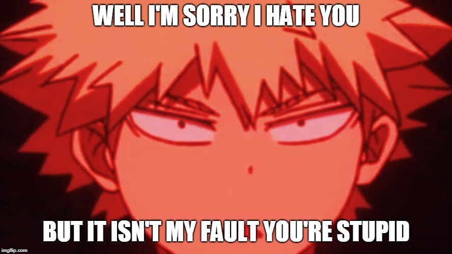 WELL I'M SORRY I HATE YOU; BUT IT ISN'T MY FAULT YOU'RE STUPID | image tagged in anime,stupid | made w/ Imgflip meme maker