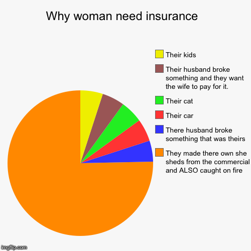 Why woman need insurance  | They made there own she sheds from the commercial and ALSO caught on fire, There husband broke something that wa | image tagged in funny,pie charts | made w/ Imgflip chart maker