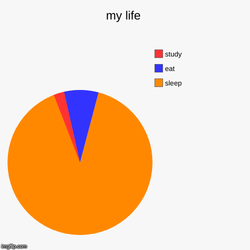 my life | sleep, eat, study | image tagged in funny,pie charts | made w/ Imgflip chart maker