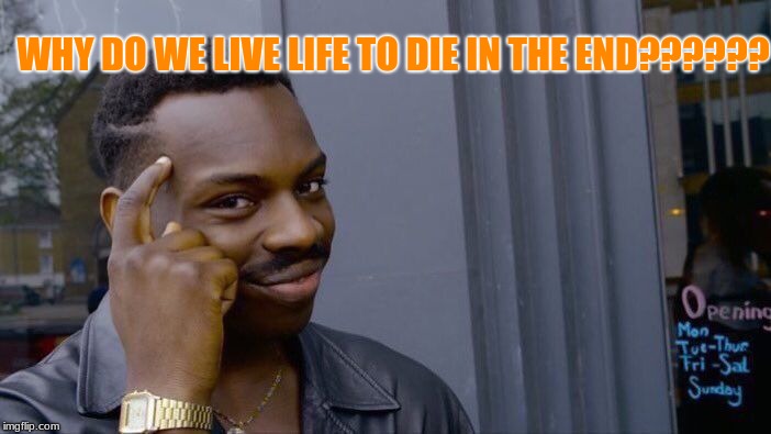 Roll Safe Think About It | WHY DO WE LIVE LIFE TO DIE IN THE END?????? | image tagged in memes,roll safe think about it | made w/ Imgflip meme maker