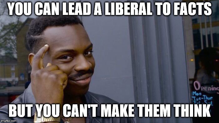 Roll Safe Think About It | YOU CAN LEAD A LIBERAL TO FACTS; BUT YOU CAN'T MAKE THEM THINK | image tagged in memes,roll safe think about it | made w/ Imgflip meme maker