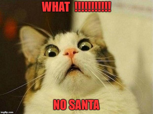Scared Cat Meme | WHAT  !!!!!!!!!!! NO SANTA | image tagged in memes,scared cat | made w/ Imgflip meme maker