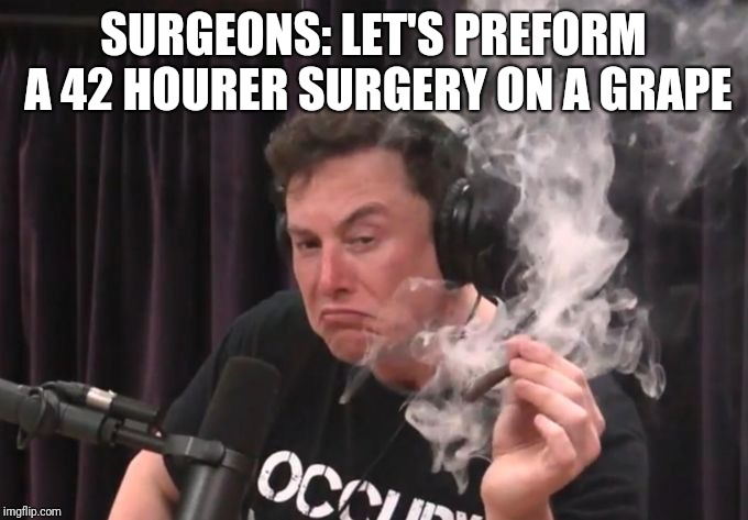 Elon Musk Smoking Weed | SURGEONS: LET'S PREFORM A 42 HOURER SURGERY ON A GRAPE | image tagged in elon musk smoking weed | made w/ Imgflip meme maker