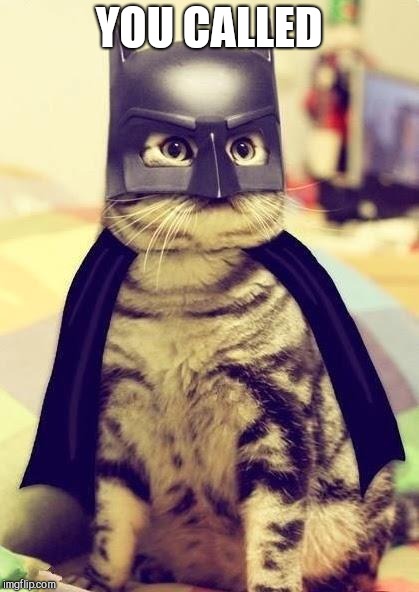 catman | YOU CALLED | image tagged in catman | made w/ Imgflip meme maker