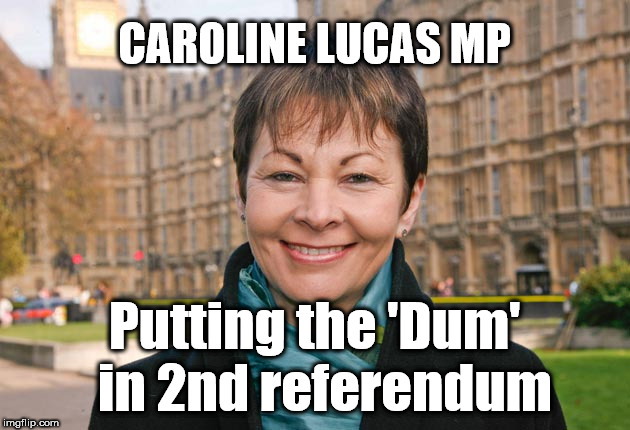 Putting the 'Dum' in 2nd referendum | CAROLINE LUCAS MP; Putting the 'Dum'  in 2nd referendum | image tagged in caroline lucas,peoples vote,remoaner,remain,brexit,green party | made w/ Imgflip meme maker