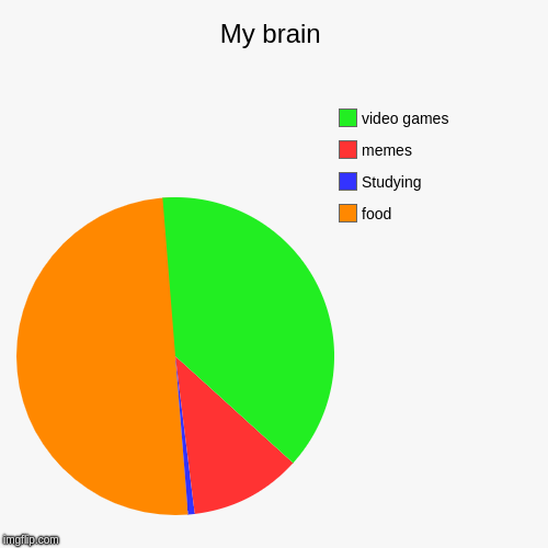 My brain | food, Studying, memes, video games | image tagged in funny,pie charts | made w/ Imgflip chart maker