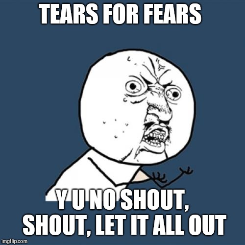 Y U No Meme | TEARS FOR FEARS; Y U NO SHOUT, SHOUT, LET IT ALL OUT | image tagged in memes,y u no | made w/ Imgflip meme maker