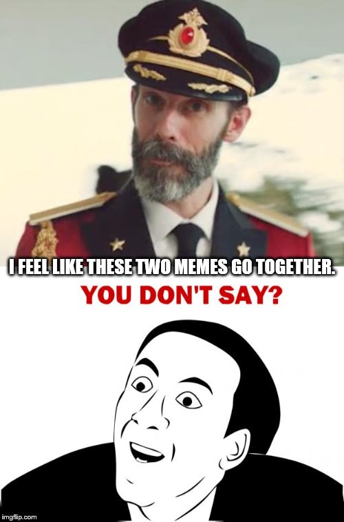 I FEEL LIKE THESE TWO MEMES GO TOGETHER. | image tagged in memes,you don't say,captain obvious | made w/ Imgflip meme maker