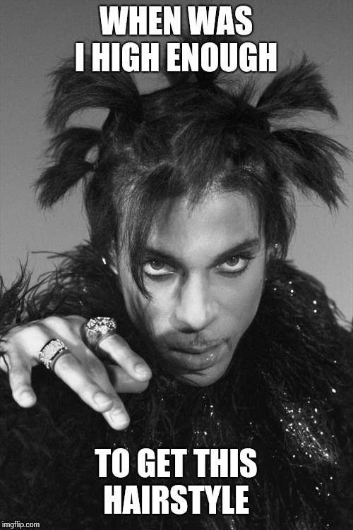 I guess he partied like it was 1999...  | WHEN WAS I HIGH ENOUGH; TO GET THIS HAIRSTYLE | image tagged in prince,memes,1999 | made w/ Imgflip meme maker
