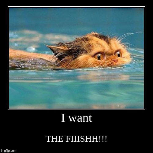 I want | THE FIIISHH!!! | image tagged in funny,demotivationals | made w/ Imgflip demotivational maker