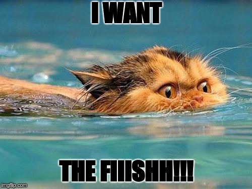 Swimming cat | I WANT; THE FIIISHH!!! | image tagged in swimming cat | made w/ Imgflip meme maker