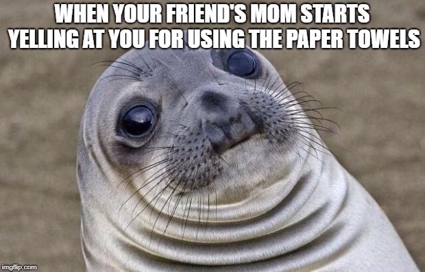 Awkward Moment Sealion | WHEN YOUR FRIEND'S MOM STARTS YELLING AT YOU FOR USING THE PAPER TOWELS | image tagged in memes,awkward moment sealion | made w/ Imgflip meme maker