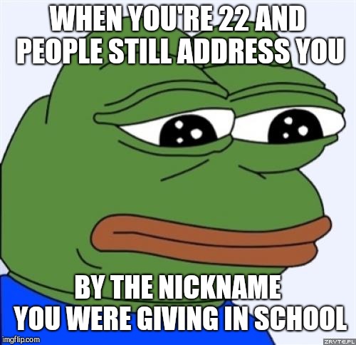 sad frog | WHEN YOU'RE 22 AND PEOPLE STILL ADDRESS YOU; BY THE NICKNAME YOU WERE GIVING IN SCHOOL | image tagged in sad frog | made w/ Imgflip meme maker