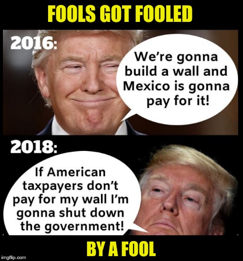 Fools | FOOLS GOT FOOLED; BY A FOOL | image tagged in trump,fool,idiot,moron | made w/ Imgflip meme maker