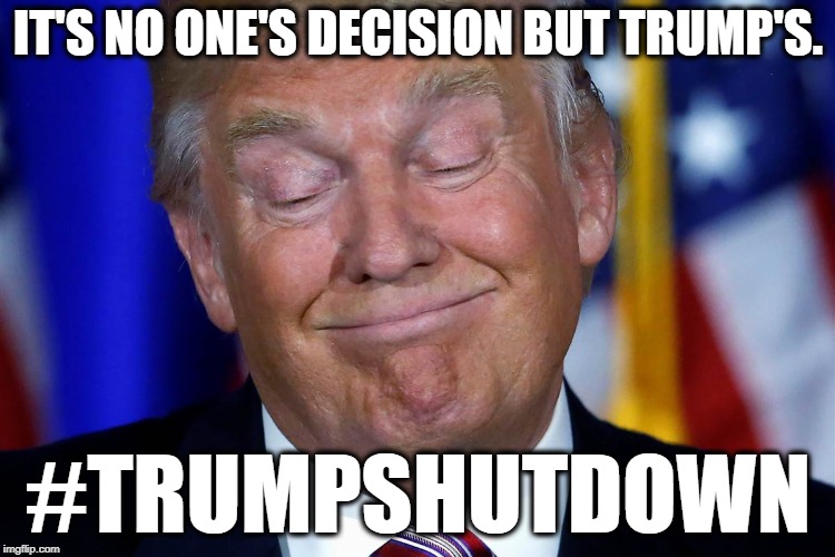 #TRUMPSHUTDOWN | IT'S NO ONE'S DECISION BUT TRUMP'S. #TRUMPSHUTDOWN | image tagged in donald trump,government shutdown,shutdown,government,treason,traitor | made w/ Imgflip meme maker