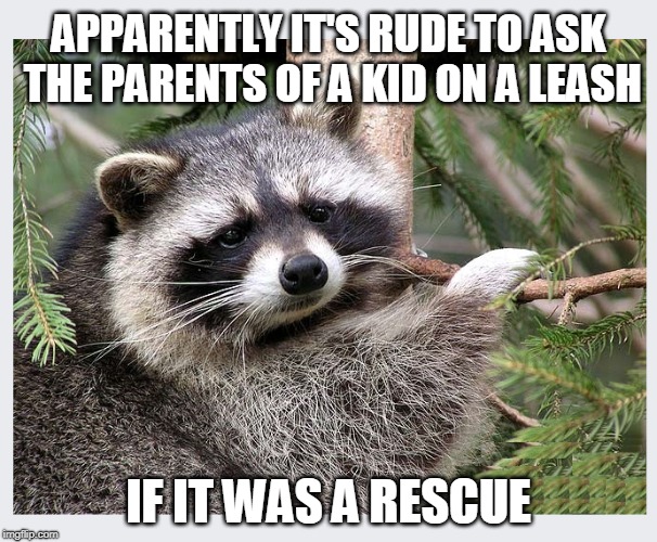 But why? | APPARENTLY IT'S RUDE TO ASK THE PARENTS OF A KID ON A LEASH; IF IT WAS A RESCUE | image tagged in modern parenting,rescue pet,kid on a leash | made w/ Imgflip meme maker