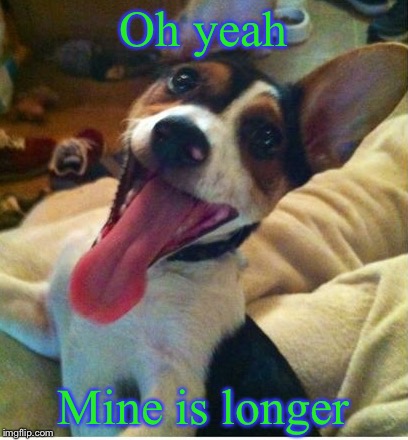 Dog with long tounge | Oh yeah Mine is longer | image tagged in dog with long tounge | made w/ Imgflip meme maker