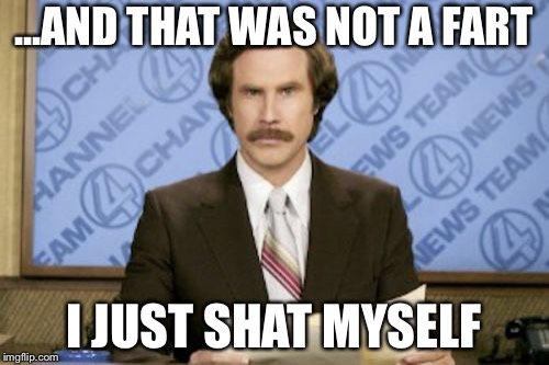 Ron Burgundy Meme | ...AND THAT WAS NOT A FART; I JUST SHAT MYSELF | image tagged in memes,ron burgundy | made w/ Imgflip meme maker