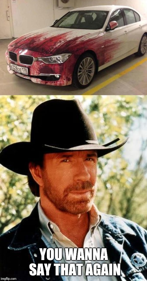 YOU WANNA SAY THAT AGAIN | image tagged in memes,chuck norris,bmw bloody | made w/ Imgflip meme maker