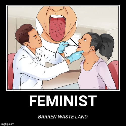 Barren Feminist | image tagged in funny,demotivationals,feminism is cancer,feminazi,wasteland,doctor | made w/ Imgflip demotivational maker