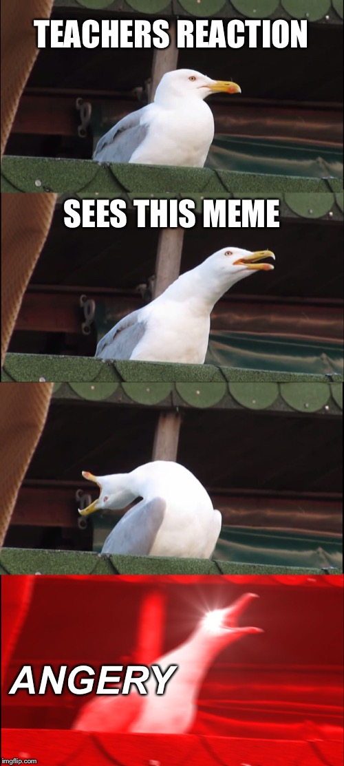 Inhaling Seagull Meme | TEACHERS REACTION SEES THIS MEME ANGERY | image tagged in memes,inhaling seagull | made w/ Imgflip meme maker