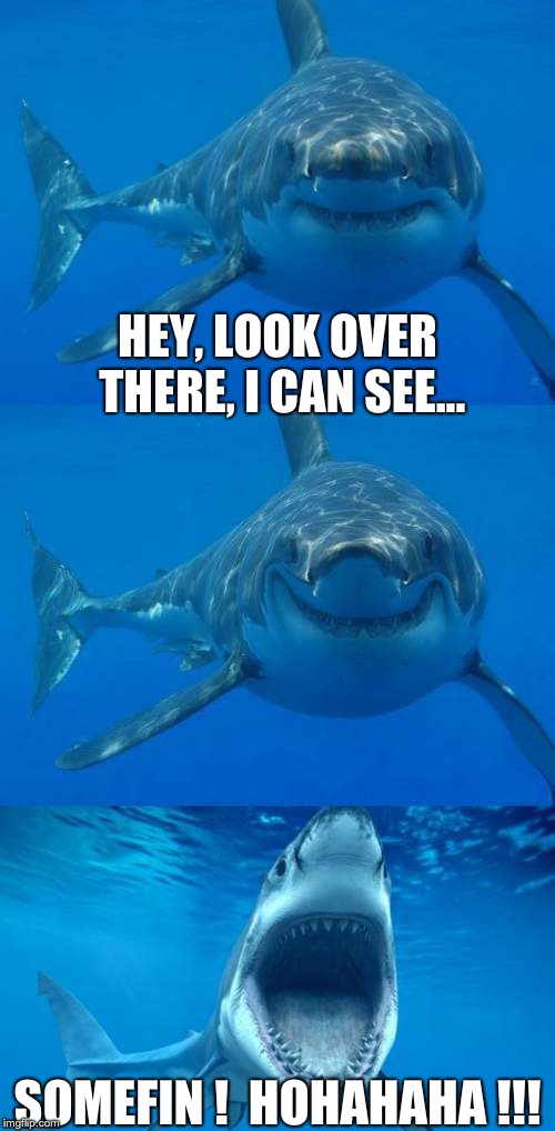 Bad Shark Pun  | HEY, LOOK OVER THERE, I CAN SEE... SOMEFIN !  HOHAHAHA !!! | image tagged in bad shark pun | made w/ Imgflip meme maker