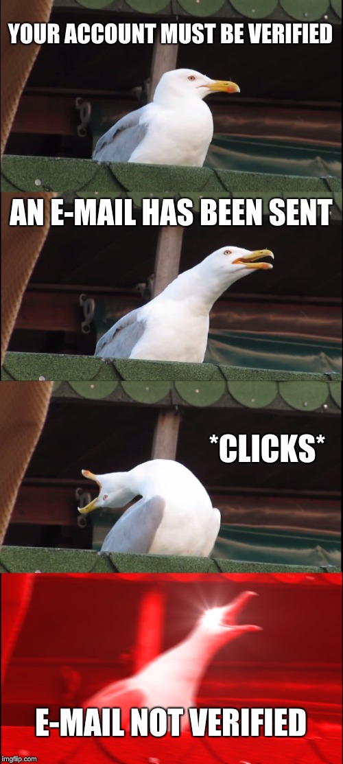 Inhaling Seagull Meme | YOUR ACCOUNT MUST BE VERIFIED; AN E-MAIL HAS BEEN SENT; *CLICKS*; E-MAIL NOT VERIFIED | image tagged in memes,inhaling seagull | made w/ Imgflip meme maker