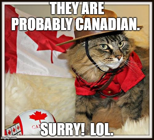 Canada Cat | THEY ARE PROBABLY CANADIAN. SURRY!  LOL. | image tagged in canada cat | made w/ Imgflip meme maker