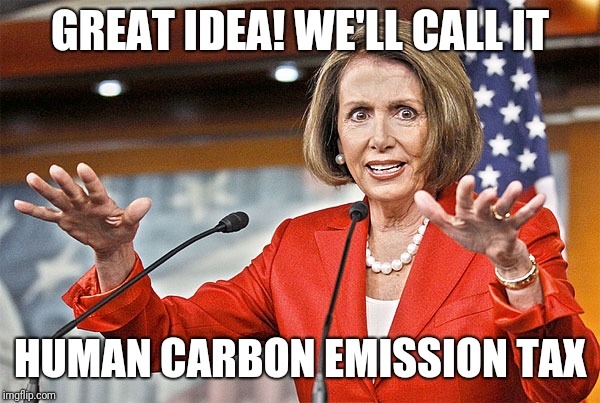 Nancy Pelosi is crazy | GREAT IDEA! WE'LL CALL IT HUMAN CARBON EMISSION TAX | image tagged in nancy pelosi is crazy | made w/ Imgflip meme maker