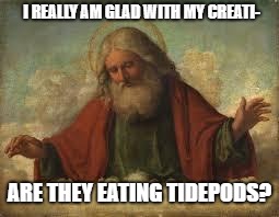 god | I REALLY AM GLAD WITH MY CREATI-; ARE THEY EATING TIDEPODS? | image tagged in god | made w/ Imgflip meme maker