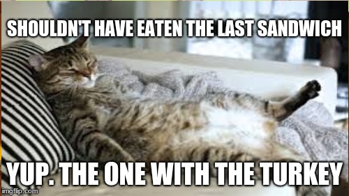 SHOULDN'T HAVE EATEN THE LAST SANDWICH; YUP. THE ONE WITH THE TURKEY | image tagged in memes | made w/ Imgflip meme maker