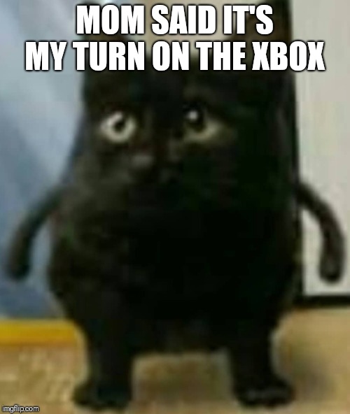 MOM SAID IT'S MY TURN ON THE XBOX | image tagged in cats | made w/ Imgflip meme maker