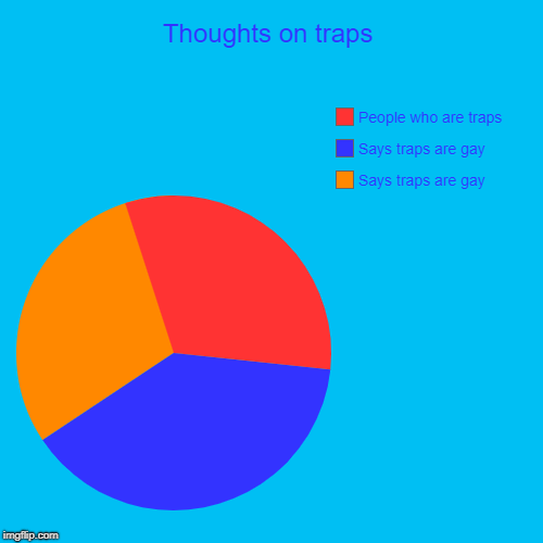 Is this accurate ?  | Thoughts on traps | Says traps are gay, Says traps are gay, People who are traps | image tagged in funny,pie charts,memes | made w/ Imgflip chart maker