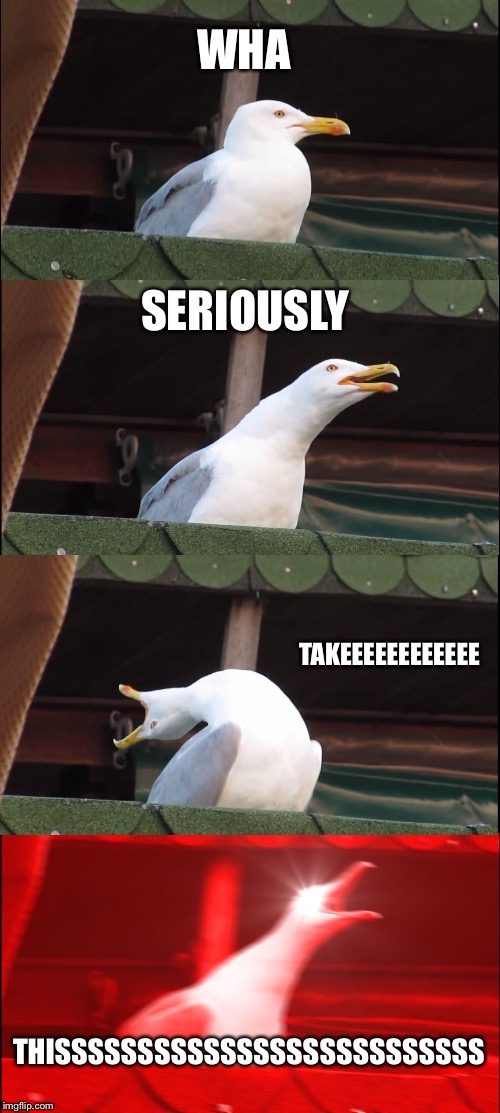 Inhaling Seagull Meme | WHA; SERIOUSLY; TAKEEEEEEEEEEEE; THISSSSSSSSSSSSSSSSSSSSSSSSSS | image tagged in memes,inhaling seagull | made w/ Imgflip meme maker