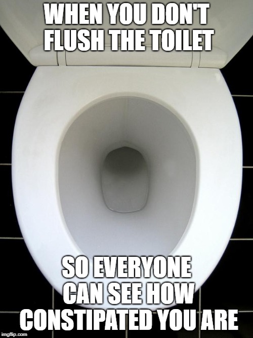 TOILET | WHEN YOU DON'T FLUSH THE TOILET; SO EVERYONE CAN SEE HOW CONSTIPATED YOU ARE | image tagged in toilet | made w/ Imgflip meme maker