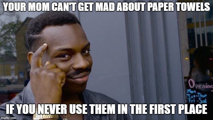 Roll Safe Think About It | YOUR MOM CAN'T GET MAD ABOUT PAPER TOWELS; IF YOU NEVER USE THEM IN THE FIRST PLACE | image tagged in memes,roll safe think about it | made w/ Imgflip meme maker