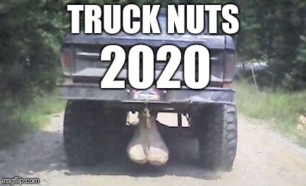TRUCK NUTS; 2020 | image tagged in truck nuts | made w/ Imgflip meme maker