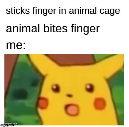 image tagged in surprised pikachu,pikachu,animals | made w/ Imgflip meme maker