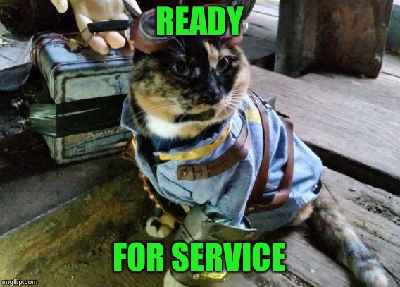 Fallout RayCat | READY FOR SERVICE | image tagged in fallout raycat | made w/ Imgflip meme maker