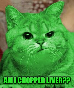 RayCat Annoyed | AM I CHOPPED LIVER?? | image tagged in raycat annoyed | made w/ Imgflip meme maker