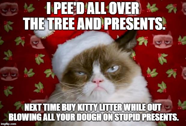 Grumpy Santa Cat | I PEE'D ALL OVER THE TREE AND PRESENTS. NEXT TIME BUY KITTY LITTER WHILE OUT BLOWING ALL YOUR DOUGH ON STUPID PRESENTS. | image tagged in grumpy santa cat | made w/ Imgflip meme maker
