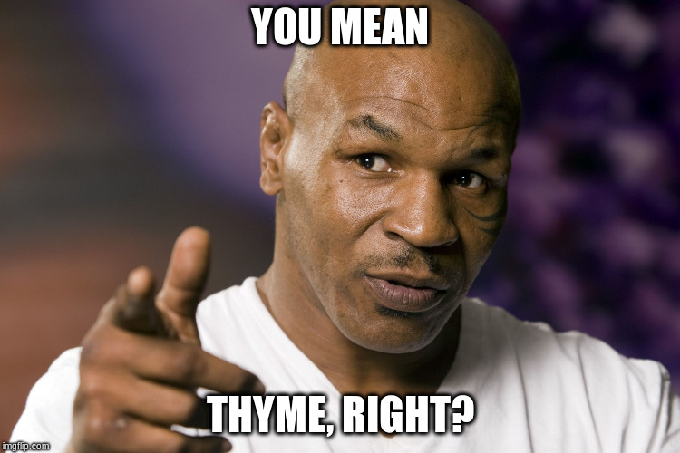 Mike Tyson  | YOU MEAN THYME, RIGHT? | image tagged in mike tyson | made w/ Imgflip meme maker