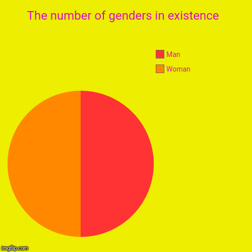 The number of genders in existence  | Woman, Man | image tagged in funny,pie charts | made w/ Imgflip chart maker