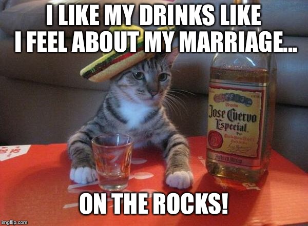 alcohol cat | I LIKE MY DRINKS LIKE I FEEL ABOUT MY MARRIAGE... ON THE ROCKS! | image tagged in alcohol cat | made w/ Imgflip meme maker