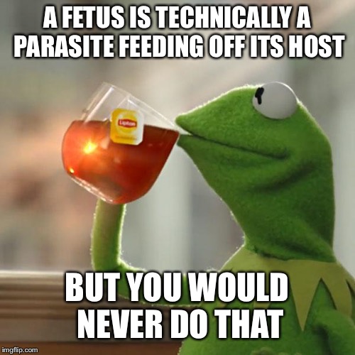 But That's None Of My Business | A FETUS IS TECHNICALLY A PARASITE FEEDING OFF ITS HOST; BUT YOU WOULD NEVER DO THAT | image tagged in memes,but thats none of my business,kermit the frog | made w/ Imgflip meme maker