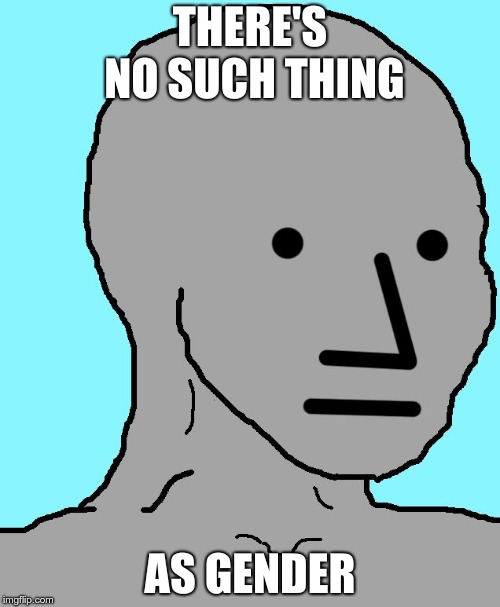 Gender unaware npc | THERE'S NO SUCH THING; AS GENDER | image tagged in memes,npc,gender,woke | made w/ Imgflip meme maker