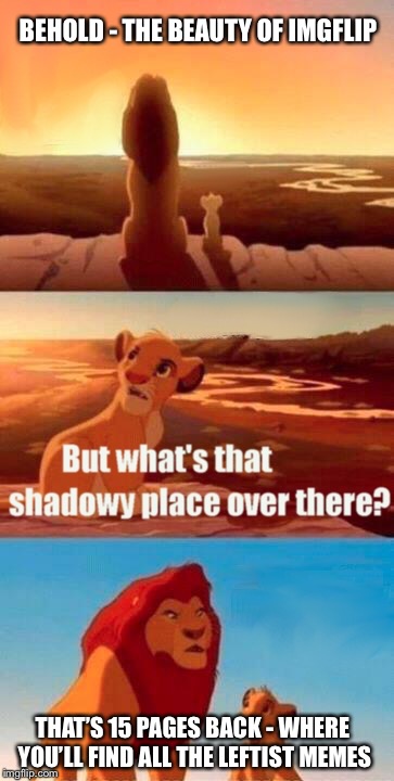 The left still can’t meme | BEHOLD - THE BEAUTY OF IMGFLIP; THAT’S 15 PAGES BACK - WHERE YOU’LL FIND ALL THE LEFTIST MEMES | image tagged in memes,simba shadowy place,leftists,unfunny,libtards | made w/ Imgflip meme maker